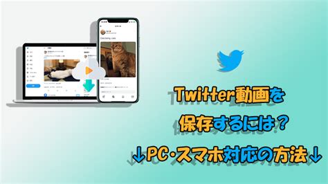 ツイッター動画ダウンロード pc|X/Twitterの動画をPCに保存する方法（2023年11月最。